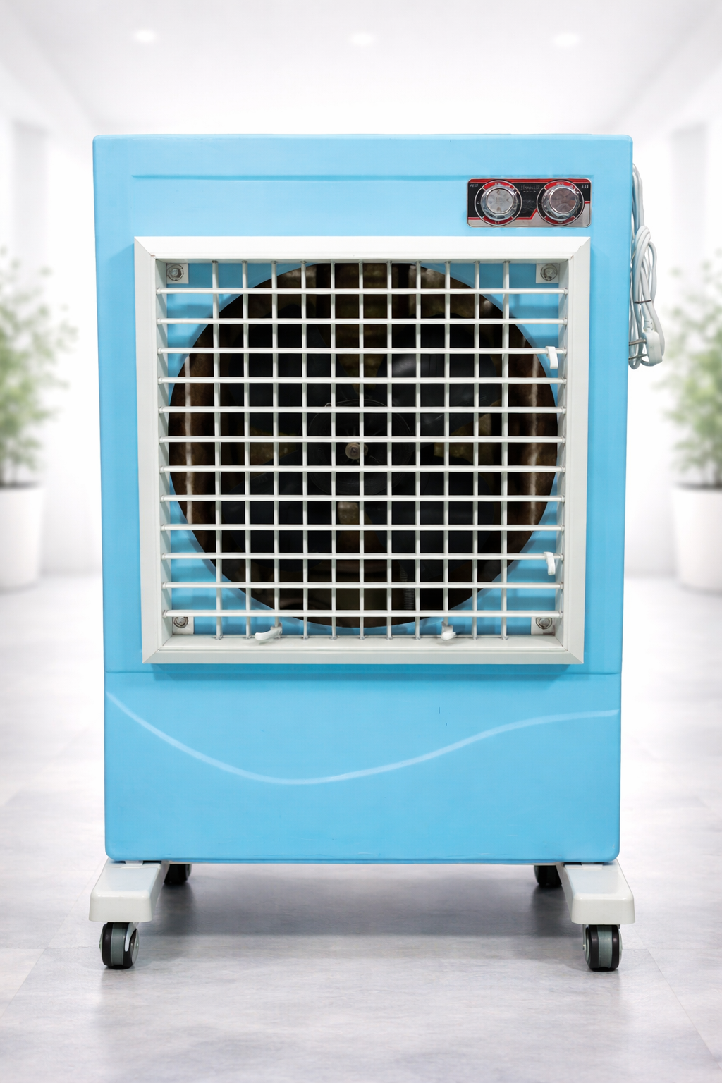 ChatGPT Image Feb 14 2026 12 01 10 PM